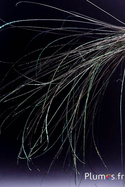 Hanger van pauwendraad - 15-28 cm - natuurlijk groen